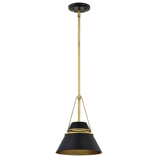 Pendant Nuvo 60-7767 Adina 1 Light Small Pendant - Matte Black and Natural Brass Finish Nuvo