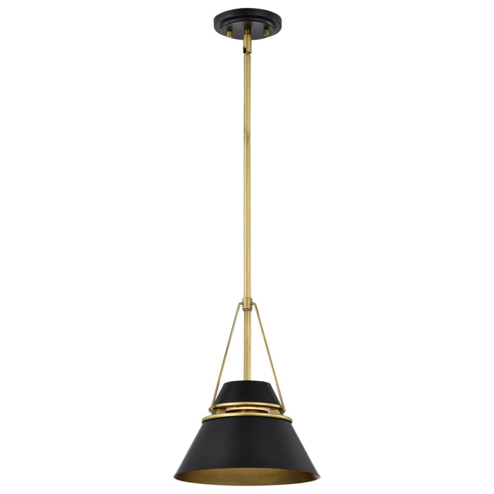 Pendant Nuvo 60-7767 Adina 1 Light Small Pendant - Matte Black and Natural Brass Finish Nuvo