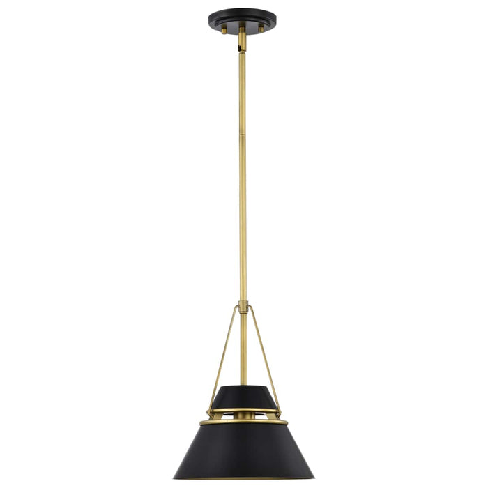 Pendant Nuvo 60-7767 Adina 1 Light Small Pendant - Matte Black and Natural Brass Finish Nuvo