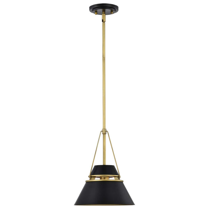 Pendant Nuvo 60-7767 Adina 1 Light Small Pendant - Matte Black and Natural Brass Finish Nuvo