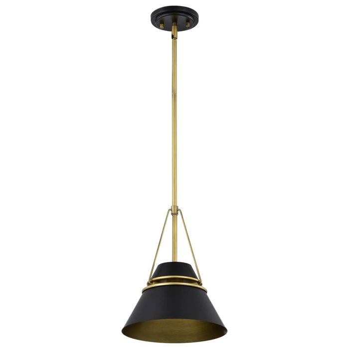 Pendant Nuvo 60-7767 Adina 1 Light Small Pendant - Matte Black and Natural Brass Finish Nuvo