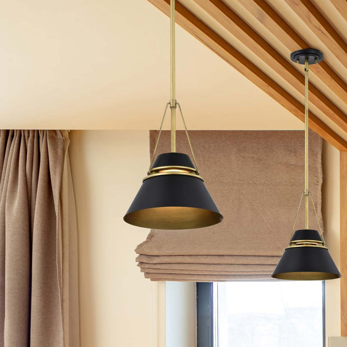Pendant Nuvo 60-7767 Adina 1 Light Small Pendant - Matte Black and Natural Brass Finish Nuvo