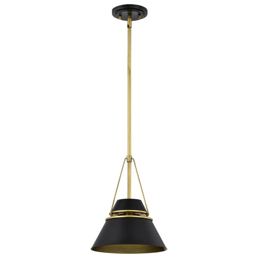 Pendant Nuvo 60-7767 Adina 1 Light Small Pendant - Matte Black and Natural Brass Finish Nuvo