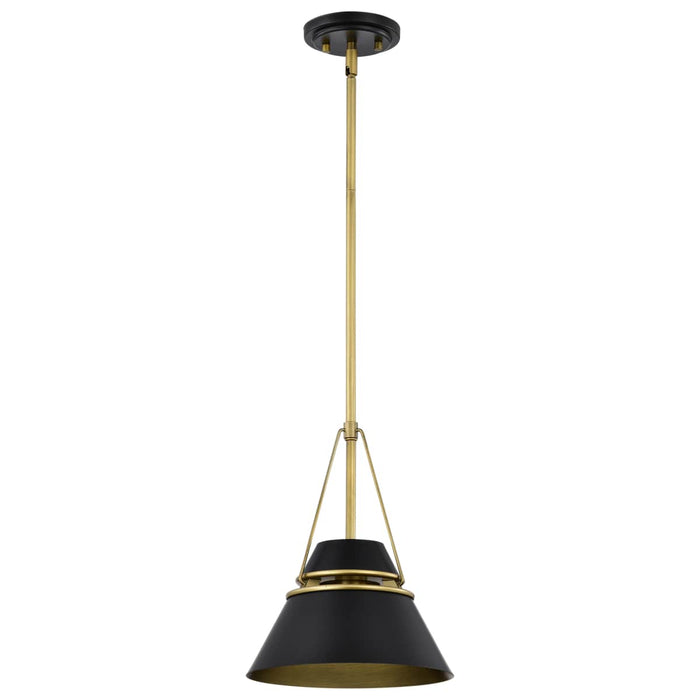 Pendant Nuvo 60-7767 Adina 1 Light Small Pendant - Matte Black and Natural Brass Finish Nuvo