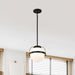 Pendant Nuvo 60-7773 Lakeshore 1 Light Small Pendant - Matte Black & Natural Brass Finish - White Opal Glass Nuvo