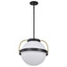 Pendant Nuvo 60-7774 Lakeshore 1 Light Medium Pendant - Matte Black & Natural Brass Finish - White Opal Glass Nuvo
