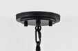 Pendant Nuvo 60-7775 Lakeshore 1 Light Large Pendant - Matte Black & Natural Brass Finish - White Opal Glass Nuvo