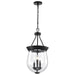 Pendant Nuvo 60-7800 Boliver 3 Light Pendant - 11 Inches - Matte Black Finish - Clear Seeded Glass Nuvo