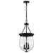 Pendant Nuvo 60-7800 Boliver 3 Light Pendant - 11 Inches - Matte Black Finish - Clear Seeded Glass Nuvo