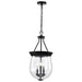 Pendant Nuvo 60-7800 Boliver 3 Light Pendant - 11 Inches - Matte Black Finish - Clear Seeded Glass Nuvo
