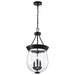 Pendant Nuvo 60-7800 Boliver 3 Light Pendant - 11 Inches - Matte Black Finish - Clear Seeded Glass Nuvo