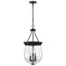 Pendant Nuvo 60-7800 Boliver 3 Light Pendant - 11 Inches - Matte Black Finish - Clear Seeded Glass Nuvo