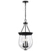 Pendant Nuvo 60-7800 Boliver 3 Light Pendant - 11 Inches - Matte Black Finish - Clear Seeded Glass Nuvo