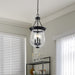Pendant Nuvo 60-7800 Boliver 3 Light Pendant - 11 Inches - Matte Black Finish - Clear Seeded Glass Nuvo