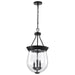 Pendant Nuvo 60-7800 Boliver 3 Light Pendant - 11 Inches - Matte Black Finish - Clear Seeded Glass Nuvo