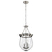 Pendant Nuvo 60-7802 Boliver 3 Light Pendant - 11 Inches - Brushed Nickel Finish - Clear Seeded Glass Nuvo