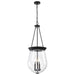 Pendant Nuvo 60-7803 Boliver 3 Light Pendant - 14 Inches - Matte Black Finish - Clear Seeded Glass Nuvo