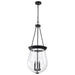 Pendant Nuvo 60-7803 Boliver 3 Light Pendant - 14 Inches - Matte Black Finish - Clear Seeded Glass Nuvo