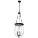Pendant Nuvo 60-7803 Boliver 3 Light Pendant - 14 Inches - Matte Black Finish - Clear Seeded Glass Nuvo