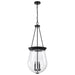 Pendant Nuvo 60-7803 Boliver 3 Light Pendant - 14 Inches - Matte Black Finish - Clear Seeded Glass Nuvo