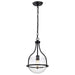 Pendant Nuvo 60-7817 Amado 1 Light Pendant - 10 Inches - Matte Black Finish - Clear Glass Nuvo