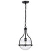 Pendant Nuvo 60-7817 Amado 1 Light Pendant - 10 Inches - Matte Black Finish - Clear Glass Nuvo