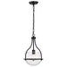 Pendant Nuvo 60-7817 Amado 1 Light Pendant - 10 Inches - Matte Black Finish - Clear Glass Nuvo