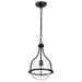 Pendant Nuvo 60-7817 Amado 1 Light Pendant - 10 Inches - Matte Black Finish - Clear Glass Nuvo