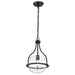 Pendant Nuvo 60-7817 Amado 1 Light Pendant - 10 Inches - Matte Black Finish - Clear Glass Nuvo