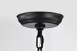 Pendant Nuvo 60-7817 Amado 1 Light Pendant - 10 Inches - Matte Black Finish - Clear Glass Nuvo