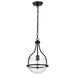 Pendant Nuvo 60-7817 Amado 1 Light Pendant - 10 Inches - Matte Black Finish - Clear Glass Nuvo