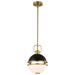 Pendant Nuvo 60-7876 Everton 1 Light Pendant - 10 Inches - Matte Black & Brass Finish - Etched Opal Glass Nuvo