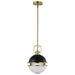Pendant Nuvo 60-7876 Everton 1 Light Pendant - 10 Inches - Matte Black & Brass Finish - Etched Opal Glass Nuvo