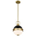 Pendant Nuvo 60-7876 Everton 1 Light Pendant - 10 Inches - Matte Black & Brass Finish - Etched Opal Glass Nuvo
