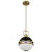 Pendant Nuvo 60-7876 Everton 1 Light Pendant - 10 Inches - Matte Black & Brass Finish - Etched Opal Glass Nuvo