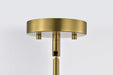 Pendant Nuvo 60-7876 Everton 1 Light Pendant - 10 Inches - Matte Black & Brass Finish - Etched Opal Glass Nuvo