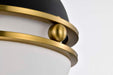 Pendant Nuvo 60-7876 Everton 1 Light Pendant - 10 Inches - Matte Black & Brass Finish - Etched Opal Glass Nuvo