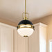 Pendant Nuvo 60-7876 Everton 1 Light Pendant - 10 Inches - Matte Black & Brass Finish - Etched Opal Glass Nuvo