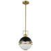 Pendant Nuvo 60-7876 Everton 1 Light Pendant - 10 Inches - Matte Black & Brass Finish - Etched Opal Glass Nuvo