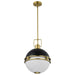 Pendant Nuvo 60-7878 Everton 2 Light Pendant - 14 Inches - Matte Black & Brass Finish - Etched Opal Glass Nuvo