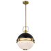 Pendant Nuvo 60-7878 Everton 2 Light Pendant - 14 Inches - Matte Black & Brass Finish - Etched Opal Glass Nuvo