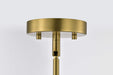 Pendant Nuvo 60-7878 Everton 2 Light Pendant - 14 Inches - Matte Black & Brass Finish - Etched Opal Glass Nuvo