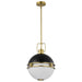 Pendant Nuvo 60-7878 Everton 2 Light Pendant - 14 Inches - Matte Black & Brass Finish - Etched Opal Glass Nuvo