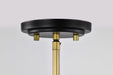 Pendant Nuvo 60-7902 Admiral 1 Light Pendant - 6 Inches - Matte Black and Natural Brass Finish - White Opal Glass Nuvo