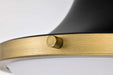 Flush Mount Nuvo 60-7905 Lafayette 1 Light Flush Mount Fixture - 14 Inches - Matte Black Finish with Natural Brass Accents and White Opal Glass Nuvo