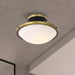 Flush Mount Nuvo 60-7905 Lafayette 1 Light Flush Mount Fixture - 14 Inches - Matte Black Finish with Natural Brass Accents and White Opal Glass Nuvo