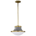 Pendant Nuvo 60-7917 Lafayette 1 Light Pendant - 14 Inches - Gray Finish with Natural Brass Accents and White Opal Glass Nuvo