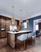 Pendant Nuvo 60-7939 Alexis 1 Light Small Pendant - Burnished Brass and Gold Finish Nuvo