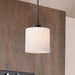 Pendant Nuvo 60-8036 Warren - 8 Inch Pendant - Gun Metal with Satin White Glass - Gun Metal Finish Nuvo
