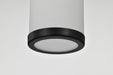 Mini Pendant Nuvo 60-8053 Roselle - Mini Pendant - Matte Black with White Glass Nuvo